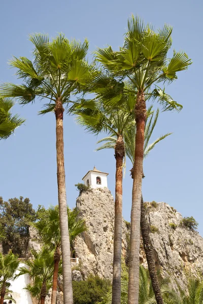 stock image Belfry behind Palm Trees