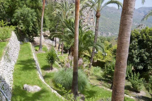 Terraced garden — Stock Photo, Image