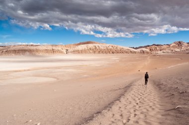 Moon Valley (Şili)