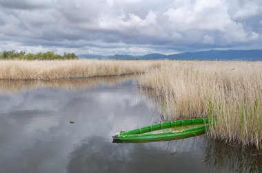 Tablas de daimiel Milli Parkı, İspanya