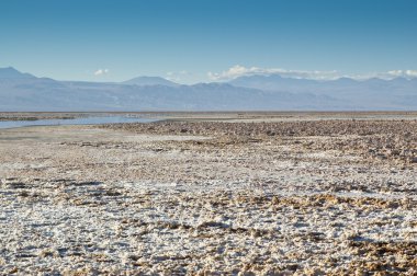 Salar de Atacama