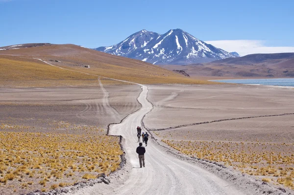 Чилійський високих плато — стокове фото