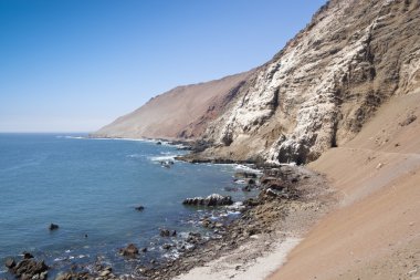 Deniz cliff gübresi ile kaplı