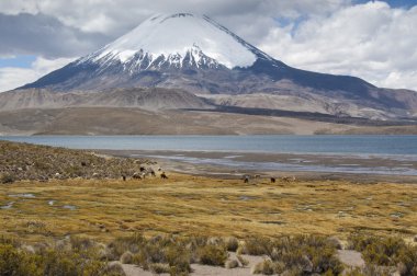 Chungará Lake and Parinacota volcano