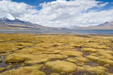 Parinacota yanardağ