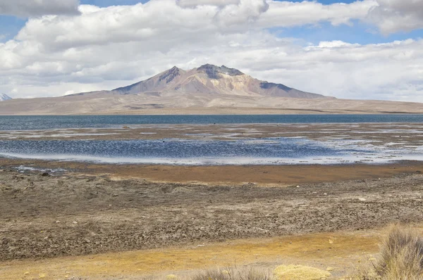 Volcan Chungara Lake et Parinacota — Photo