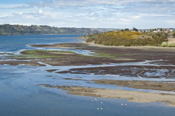 stock image Estuary in Castro, Chile