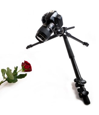 Camera on the tripod clipart