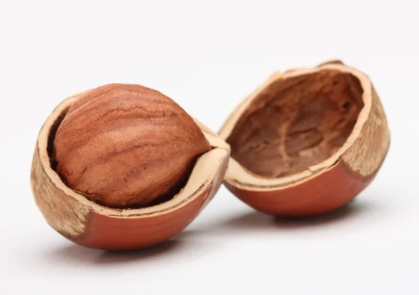 Close-up of hazelnut in cracked nutshell on white background — Stock Photo, Image