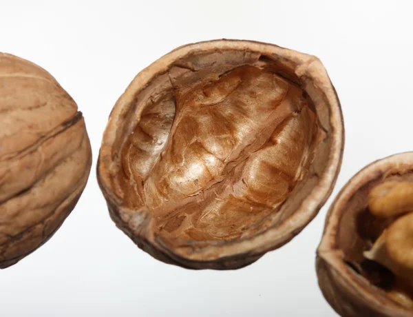 Coquille de noix isolée sur blanc — Photo