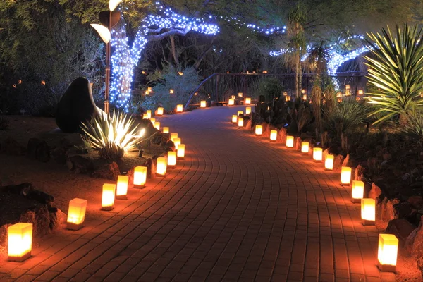 Path lit by luminaries after dark — Stock Photo, Image