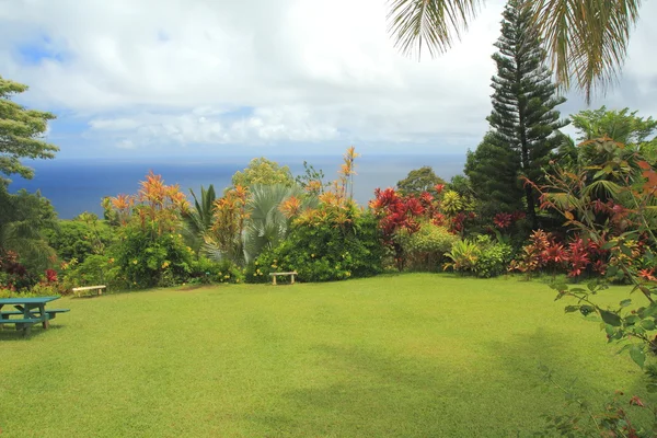 Jardín hawaiano Fotos de stock libres de derechos