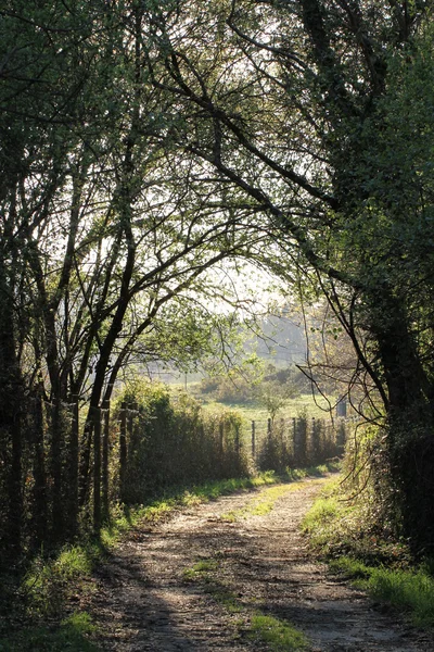 stock image Rural path