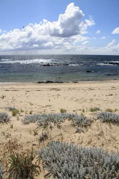 Пляж Канто-Мариньо — стоковое фото