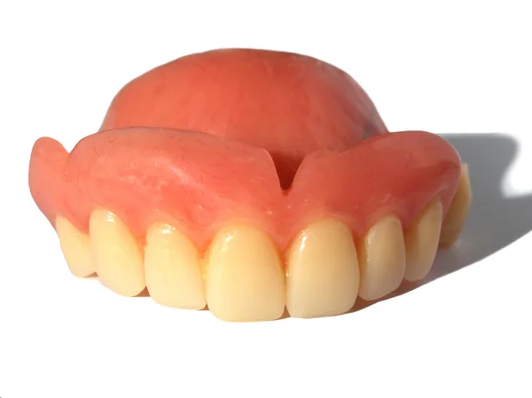 stock image False Teeth