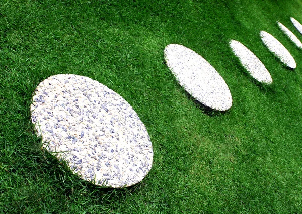 stock image Garden Lawn