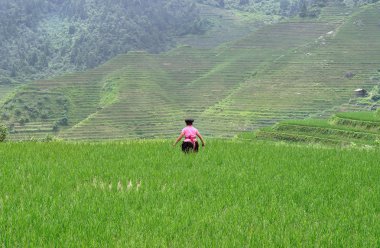 pirinç terasları, guilin, Çin