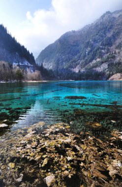 pastoral Mavi Göl, Milli Parkı jiuzhaigou, Çin