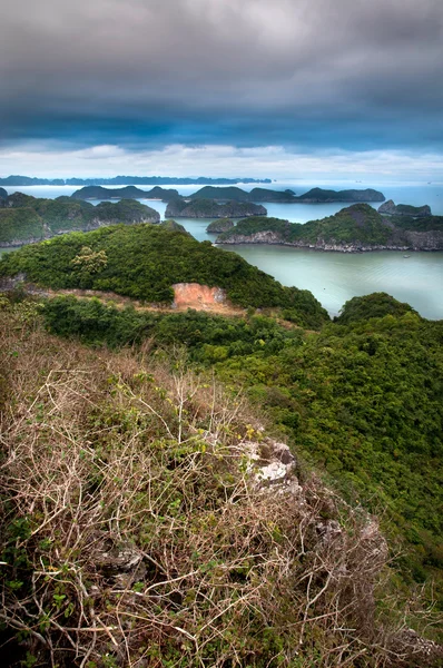 stock image Looking out to sea, Cat Ba Island, Halong Bay