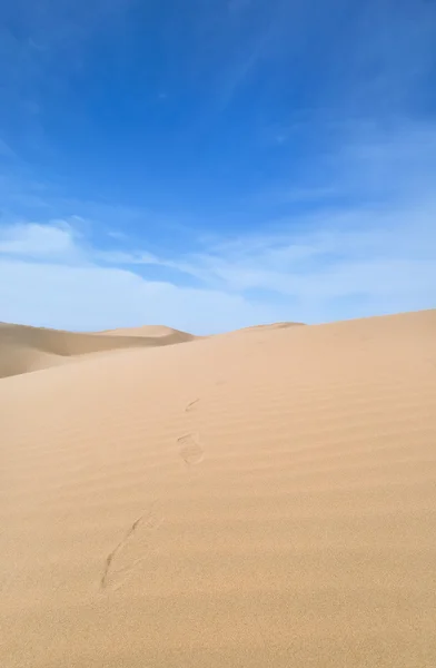 stock image Footstep Trail in the Desert