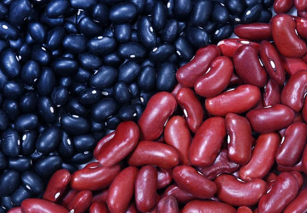 Black Beans and Kidney Beans — Stock Photo, Image