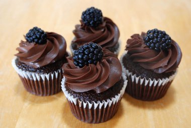 Chocolate Cupcakes with blackberries on top clipart