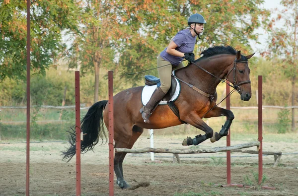 Show Jumping — Stock Photo, Image