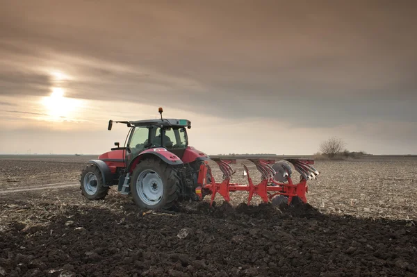Plowing at dusk — Stock Photo, Image