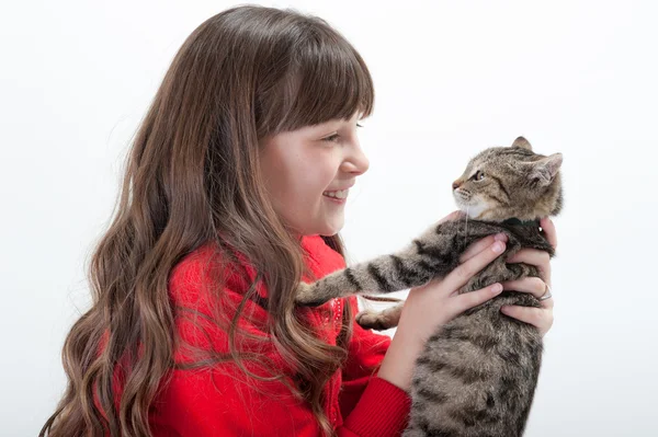 stock image Girl holds her cat