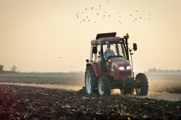 Плуг в сумерках
