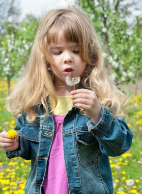 Girl with dandelion clipart