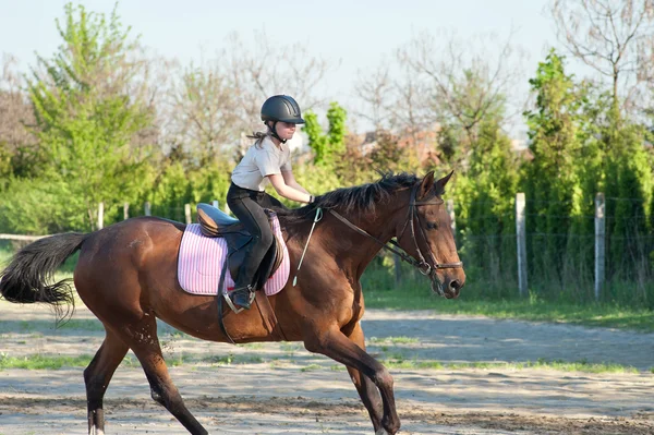 Mädchen auf einem Pferd — Stockfoto