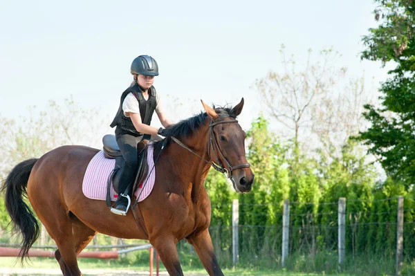 Mädchen auf einem Pferd — Stockfoto