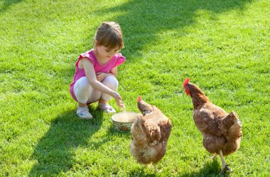 Girl and chickens clipart