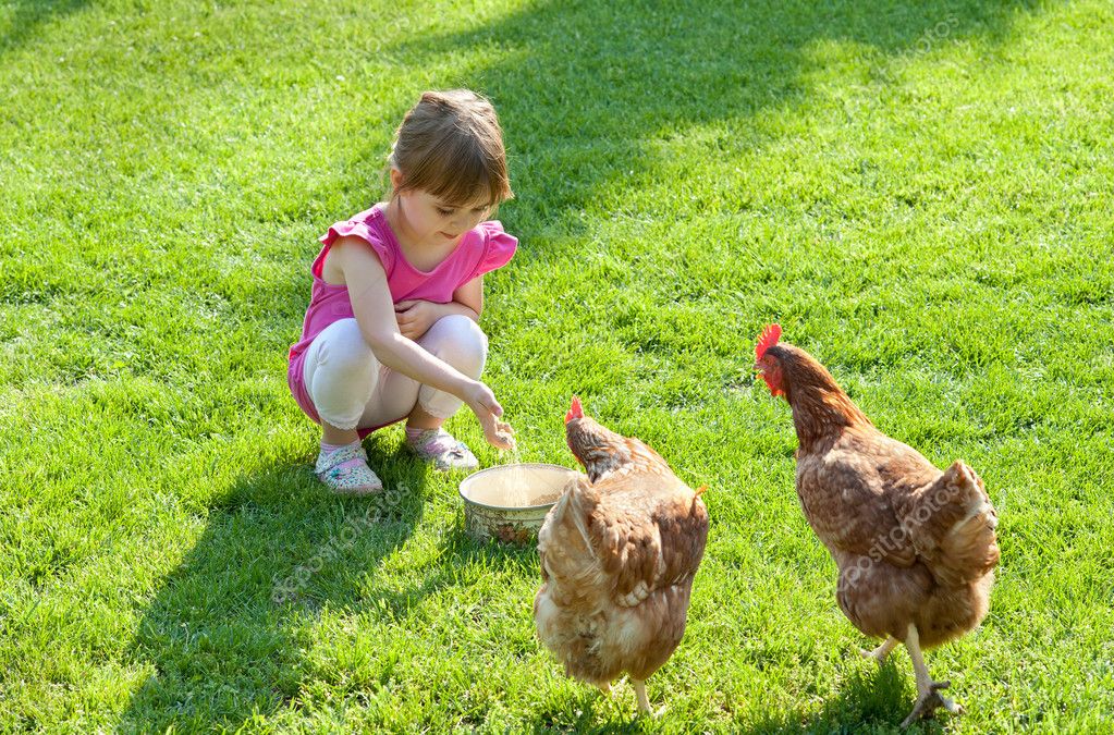 Girl and chickens — Stock Photo © fotokostic #10495272