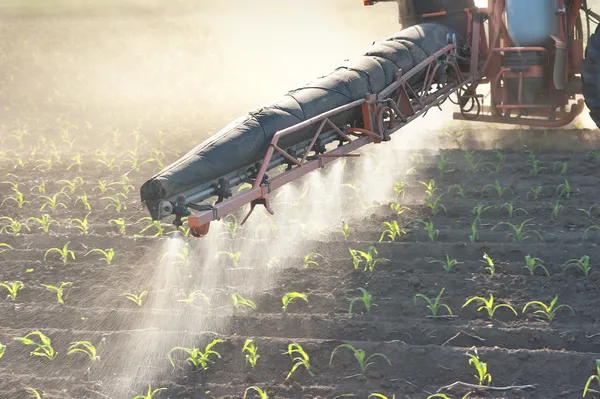 Tractor fertilizes crops — Stock Photo, Image