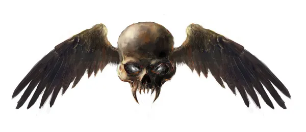 翼的 skulll — 图库照片
