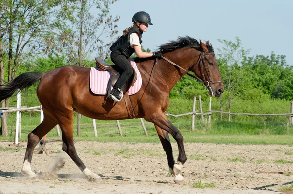 Gadis naik kuda — Stok Foto