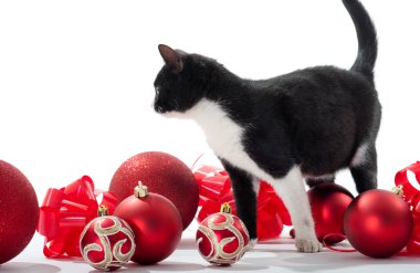 Black Kitten and Christmas decorations clipart