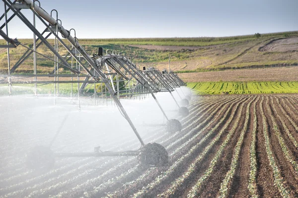 Gemüsefeld und Bewässerungsanlagen — Stockfoto