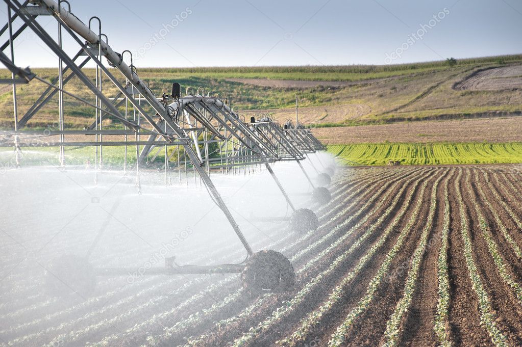 Vegetable field and irrigation equipment