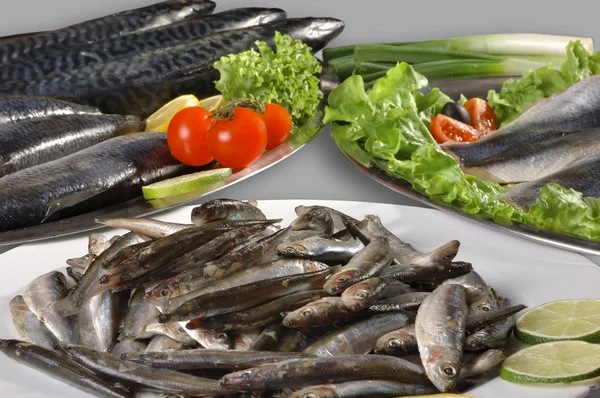 Ruwe sardine en haring — Stockfoto