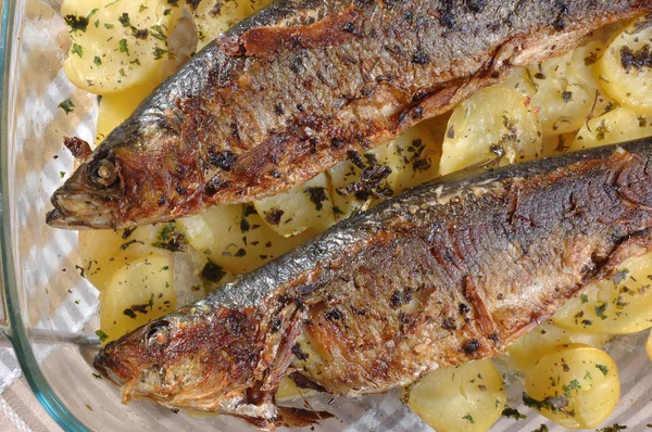 stock image Roasted herring with cooked potato