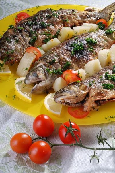 Gegrilde forel — Stockfoto