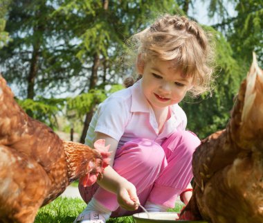 Girl feeding chickens clipart