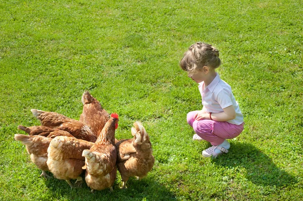 Girl and chickens — Stock Photo, Image
