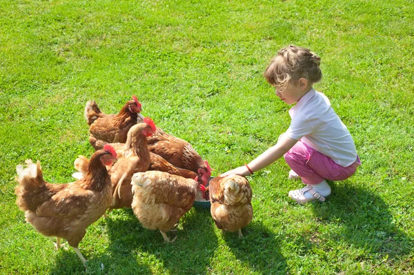 Girl and chickens — Stock Photo, Image