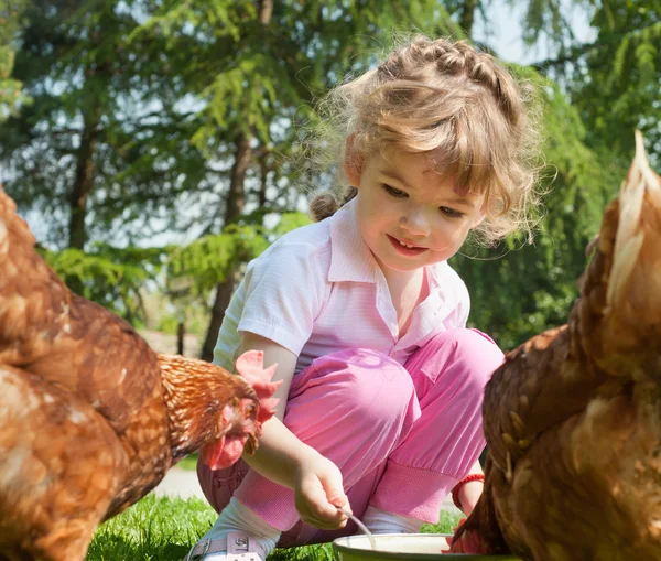 Chica alimentar a los pollos — Foto de Stock