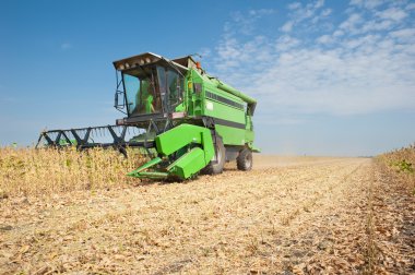 Harvesting soybeans clipart