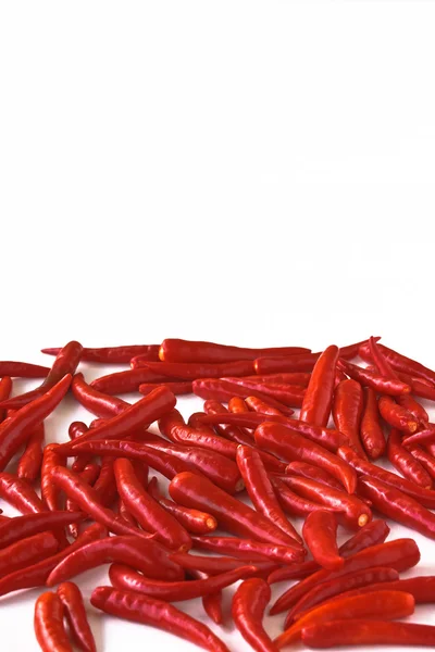 붉은 고추 — 스톡 사진